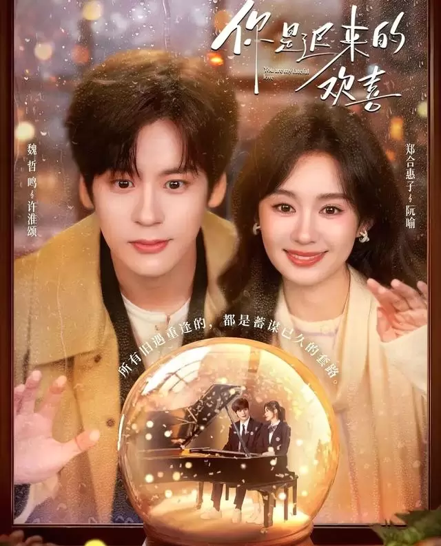 魏哲鸣郑合惠子主演《你是迟来的欢喜》定档2026年暑期 资讯配图