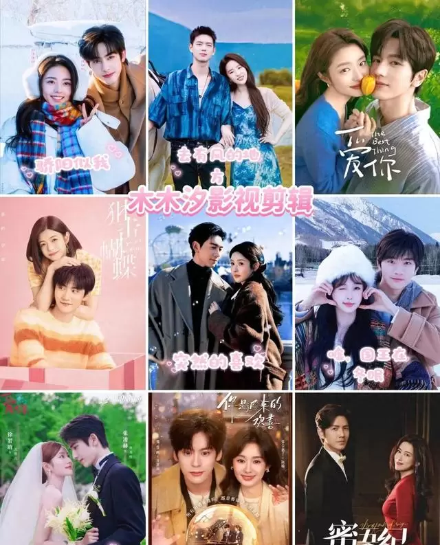 魏哲鸣郑合惠子主演《你是迟来的欢喜》定档2026年暑期 情报图
